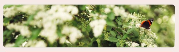 Kohtumisõhtu uudise pilt